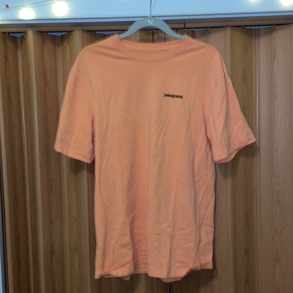 Patagonia Tshirt